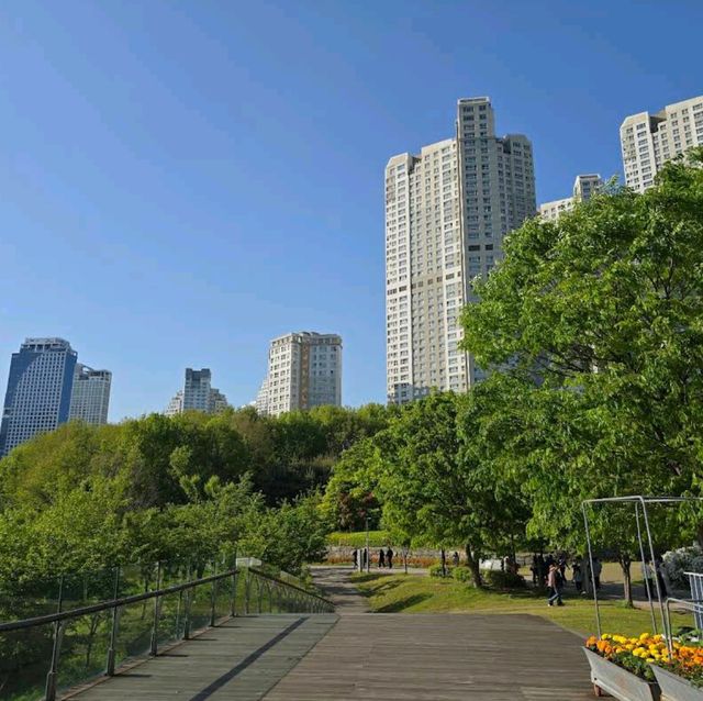 Gwanggyo Lake Park (Suwon)
