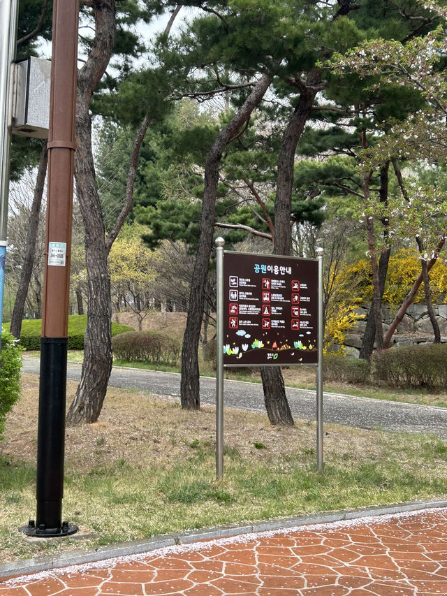 🚶‍♀️🚶 잔잔한 물결 따라 걷는 여유, 청주 오송호수공원 산책 데이트 추천해요🍀🫶🏻