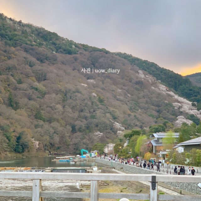 일몰시간에 가니 더 황홀했던 아라시야마 🌊🏞️🌅