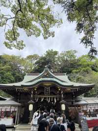 江島神社的洗錢大法⛩️