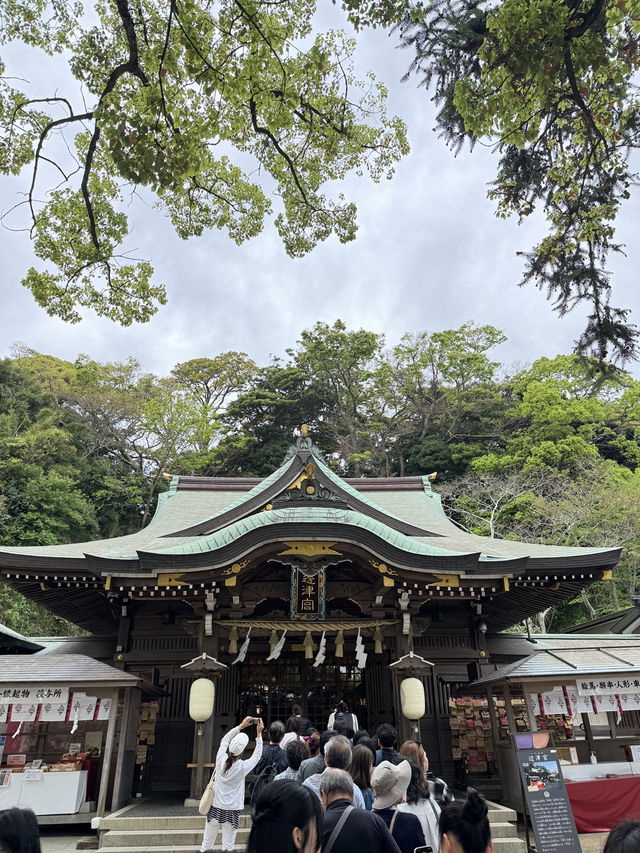 江島神社的洗錢大法⛩️
