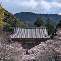 Temple that Big, Chill, and Super Scenic