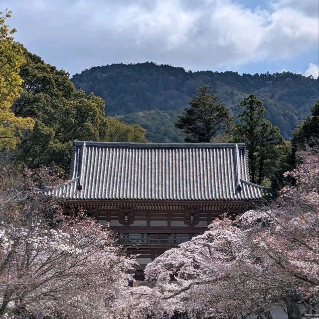 Temple that Big, Chill, and Super Scenic