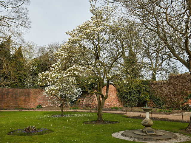 A Family Day Out at Lotherton Hall: Nature and Wildlife