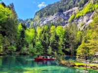 瑞士藍湖 Blausee，如畫一般的透藍翠綠絕景