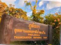 ดอยภูลังกา พะเยา