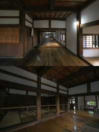 A Hidden Gem with Serious Charm