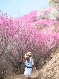 Wuhan – Where Yangtze Waters Meet Ancient Soul