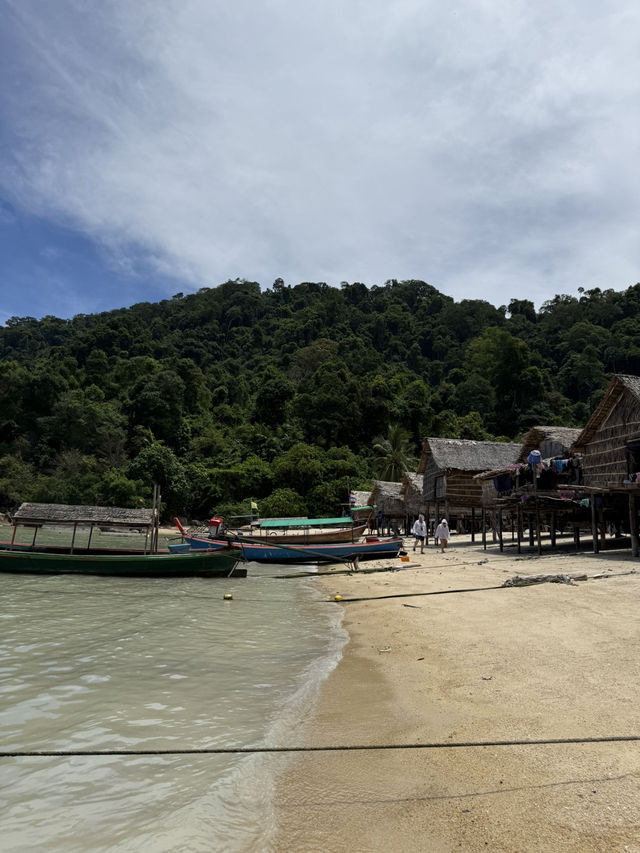 Koh Surin⛵️🤿🪸