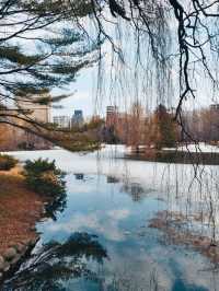 MARUYAMA PARK