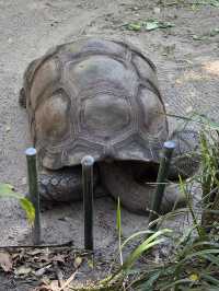 Picture perfect spots in Taronga Zoo Sydney