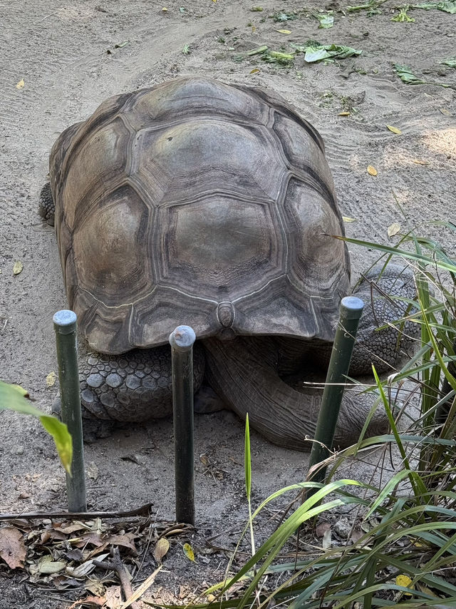 Picture perfect spots in Taronga Zoo Sydney