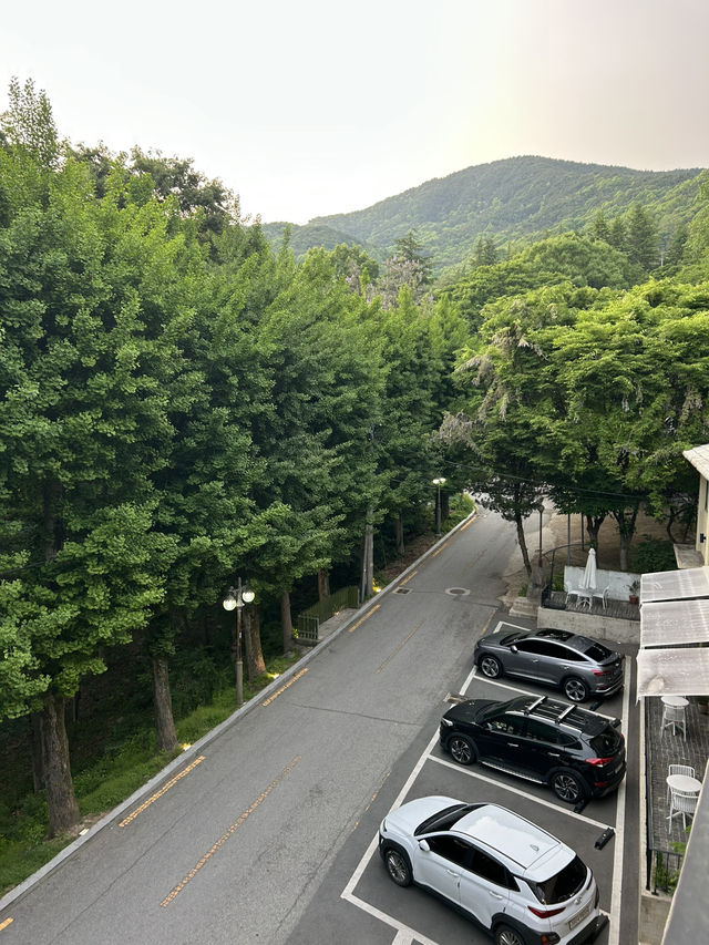 숲속의 고즈넉한 카페, 베르겐 