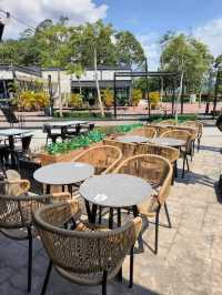 Sunshine & Sips at Chagee JB
