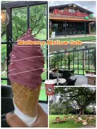 Mulberry Mellow cafe 
