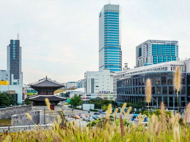 韓國🇰🇷東大門