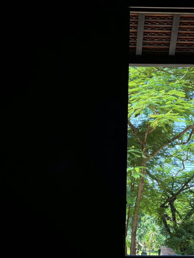 黑色藝術博物館💕清萊黑廟