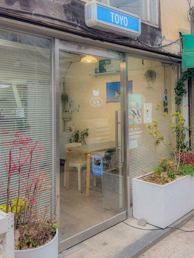 조용하고 작은 옛 골목에 숨겨진 고양이 세상, 문래 토요 
