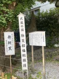 【東京都品川🇯🇵 蛇窪神社】東京の白蛇さまへ☺️