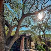 .   Issara Boutique Winery Hotel