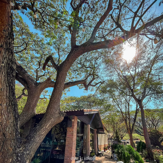 .   Issara Boutique Winery Hotel