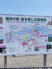 A Nature-Filled Day in Tatebayashi – Flowers, Shrines & Stillness