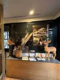 Garden House Cafe Kamakura: A Breakfast Oasis Where Nature Meets Nourishment