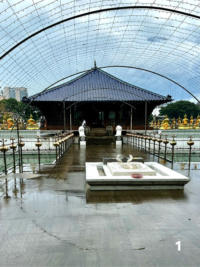 🇱🇰 シーマ・マラカヤ寺院