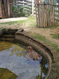 Batam Zoo Paradise