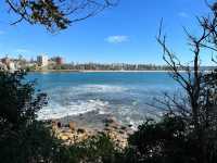 Manly to Shelly Beach – A Coastal Walk Worth Slowing Down For