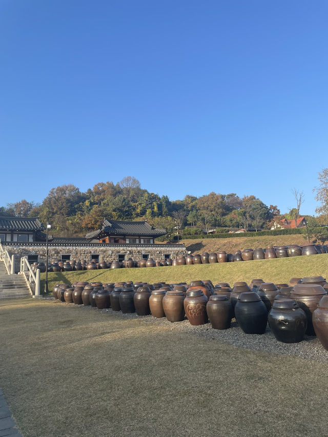 🍂 가을의 결, 연천에서 하루