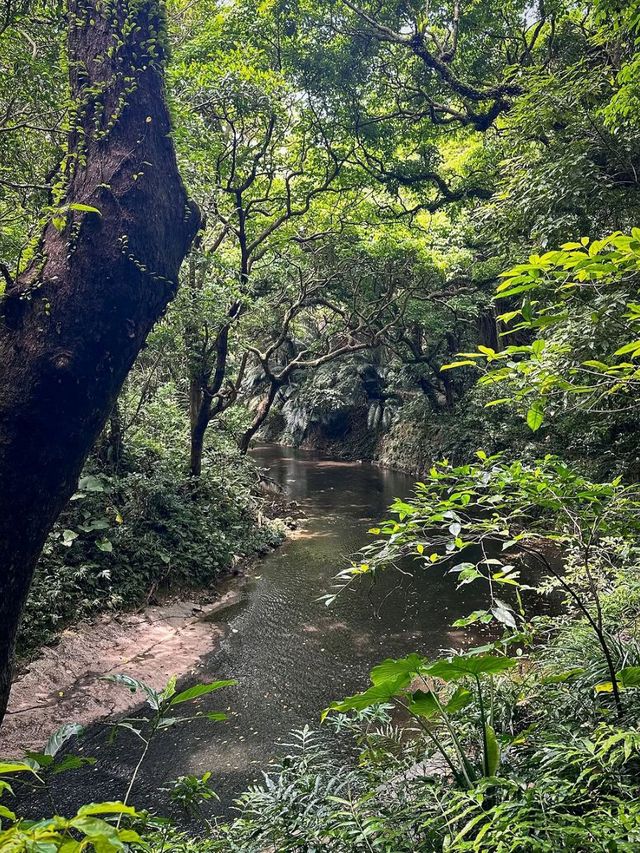 Spring Jungle Feels