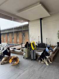 Where Time Slows Down: My Retreat to Lisiman Xinsu