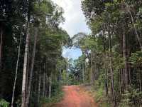 Panbil Nature Reserve: A Thrilling Jungle Workout with Stunning Rewards
