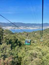Sky-High Stroll in Miyajima