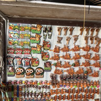 フィリピンボホール島のお土産屋さん ターシャのグッズがかわいい