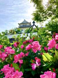 A Nature-Filled Day in Fukuyama