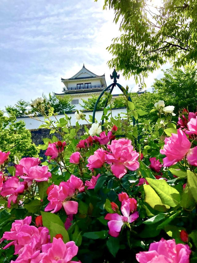 A Nature-Filled Day in Fukuyama