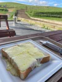 雄大な美瑛の自然を感じられる牧場🐄🌿ここでしか食べられない絶品ソフトクリームやチーズトーストは絶対に食べるべき🤤🧀