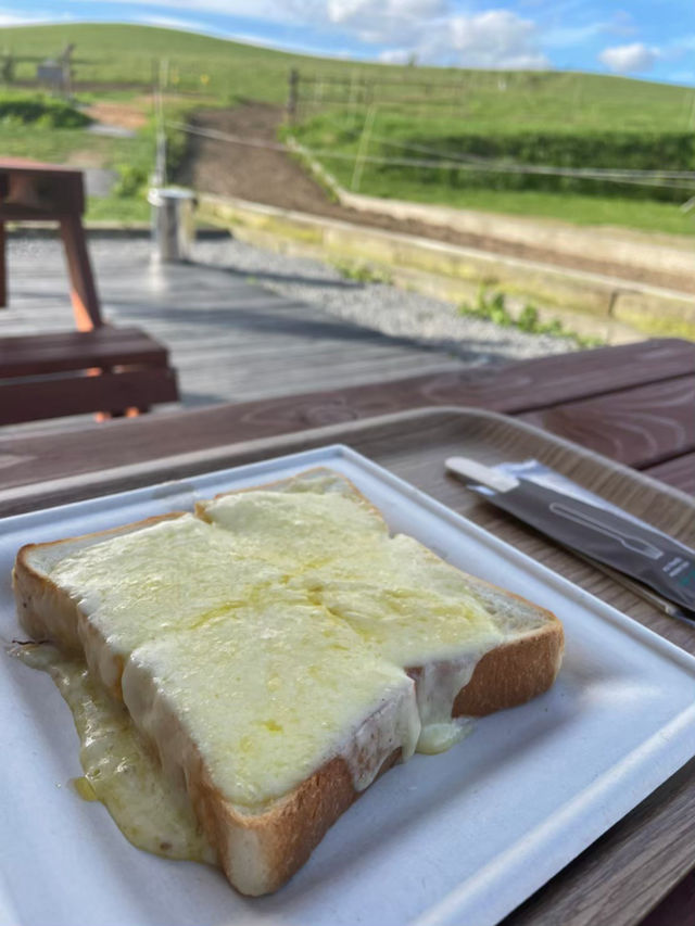 雄大な美瑛の自然を感じられる牧場🐄🌿ここでしか食べられない絶品ソフトクリームやチーズトーストは絶対に食べるべき🤤🧀