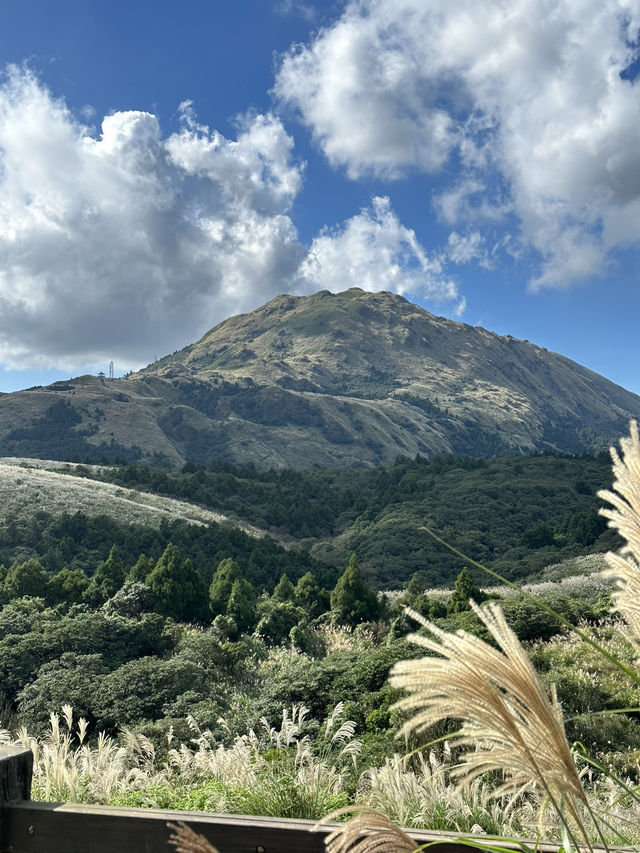 A worthy national park in Taipei A worthy national park in Taipei