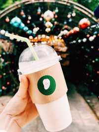 💕Chatuchak Must-Eats💕