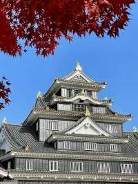 A Relaxed Walk Around Okayama Castle