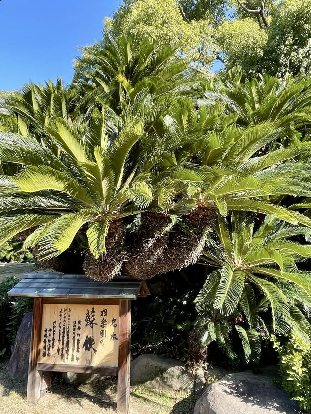 A Slow Day at Sorakuen Garden🌴
