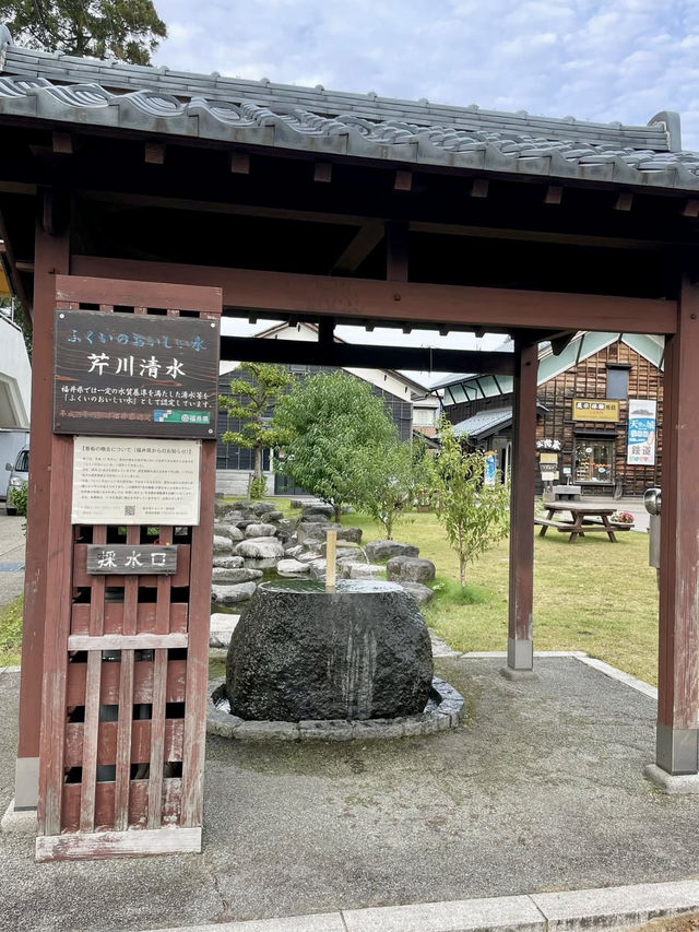 A Peaceful Day in Echizen Ono 🌸🕰️