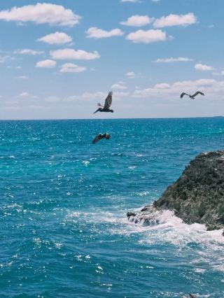 🇲🇽 Tulum Summer Escape: Cenotes, Ruins & Beachfront Bliss