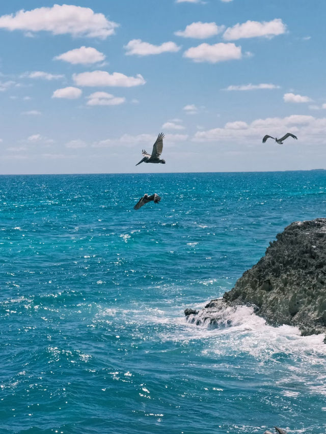 🇲🇽 Tulum Summer Escape: Cenotes, Ruins & Beachfront Bliss