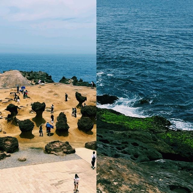 향기로운 바람과 함께한 대만 감성 코스