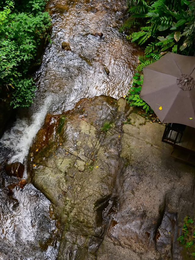 心も体もリフレッシュ！メーガンポーンで自然を満喫しよう☕️🌳