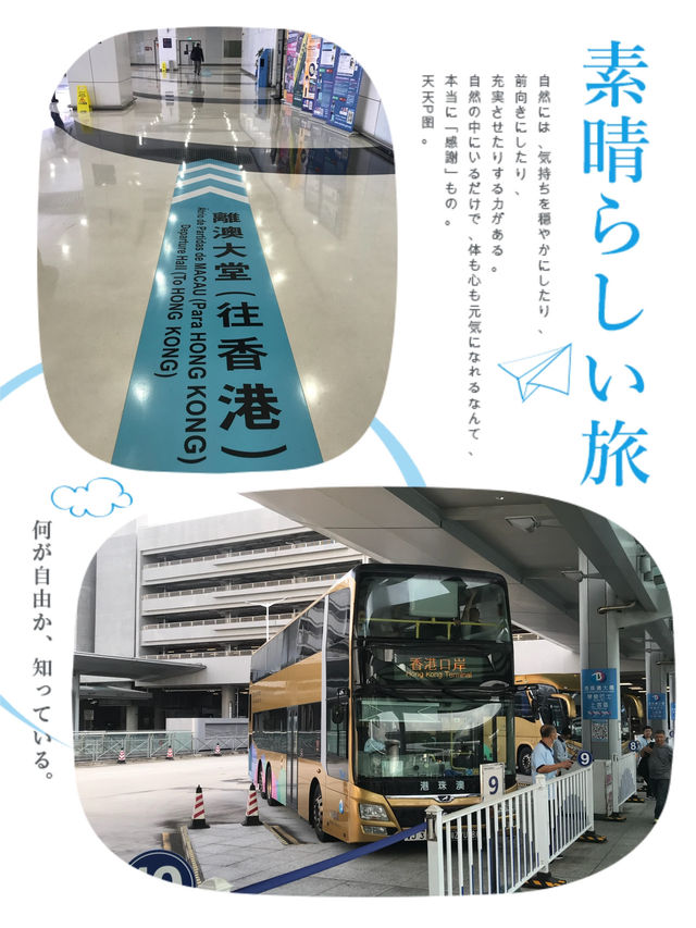 世紀工程：游港珠澳大橋